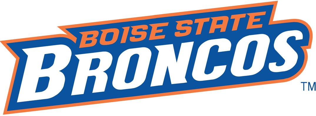 Boise State Broncos 2002-2012 Wordmark Logo iron on transfers for clothing